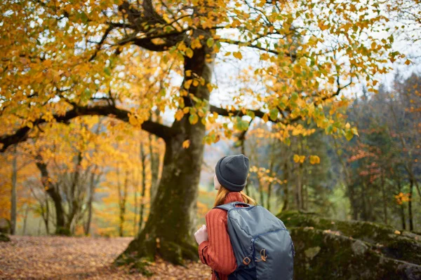 Reiziger met een rugzak rustend in het herfstbos in de natuur nabij de bomen — Stockfoto