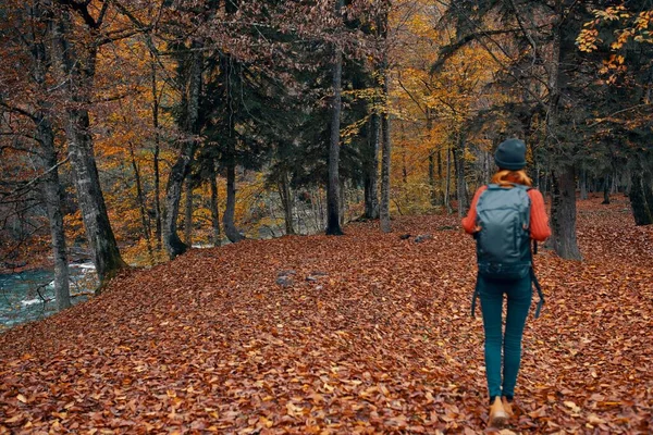 Vrouw toerist met een rugzak wandelen in het park met gevallen bladeren in de herfst in de natuur — Stockfoto