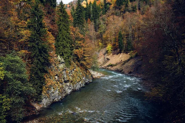 Montañas en el bosque otoño río paisaje naturaleza aire fresco —  Fotos de Stock