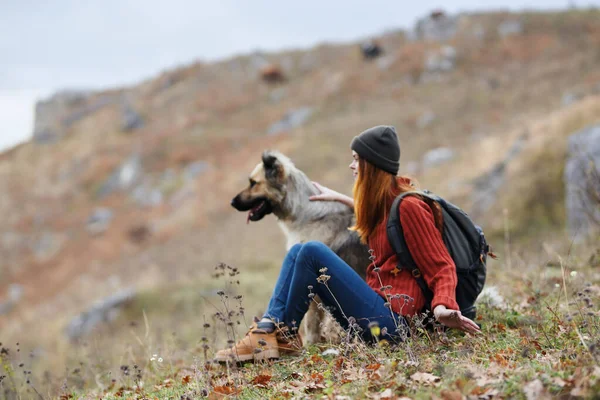 山区妇女户外与狗的友谊旅游景观 — 图库照片