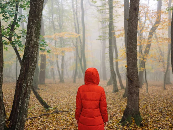 Femme en veste rouge en automne Feuilles jaunes marchent le brouillard — Photo