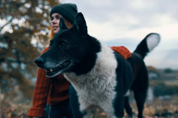 Touristin mit Rucksack und Hund in der Natur Freundschaft der Stadt — Stockfoto