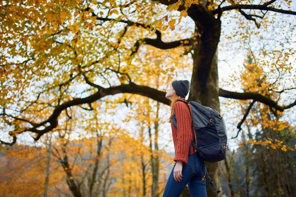 Eine Frau Roten Pullover Mit Rucksack Spaziert Nachmittag Einem Herbstlichen — Stockfoto