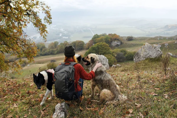 Mujer excursionistas con perros en vacaciones en la naturaleza con mochila —  Fotos de Stock