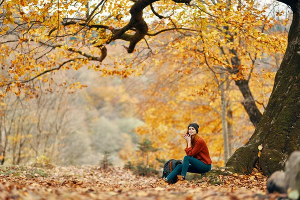 Schöne Frau Sitzt Auf Landschaft Des Herbstlichen Parks — Stockfoto