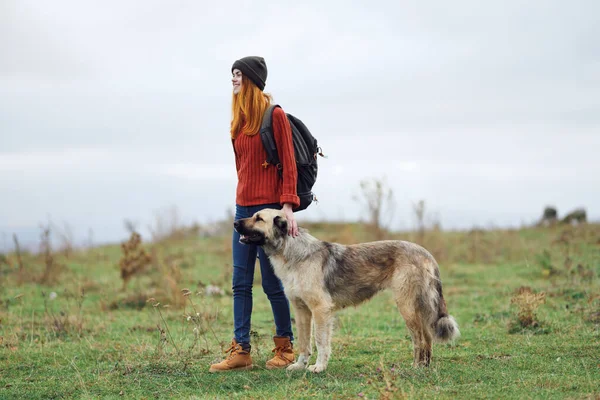 Een Vrouwelijke Wandelaar Die Hond Uitlaat Bergen Hoge Kwaliteit Foto — Stockfoto