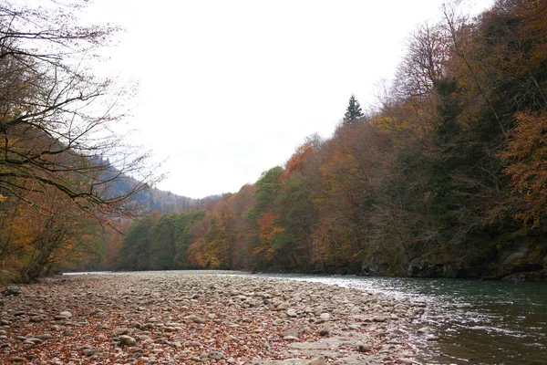 Rio montanhas outono floresta paisagem ar fresco natureza — Fotografia de Stock