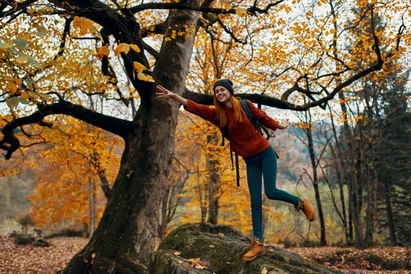 Glückliche Reisende im Park in der Nähe von großen Bäumen Landschaft Natur gelb Blätter Modell Emotionen — Stockfoto