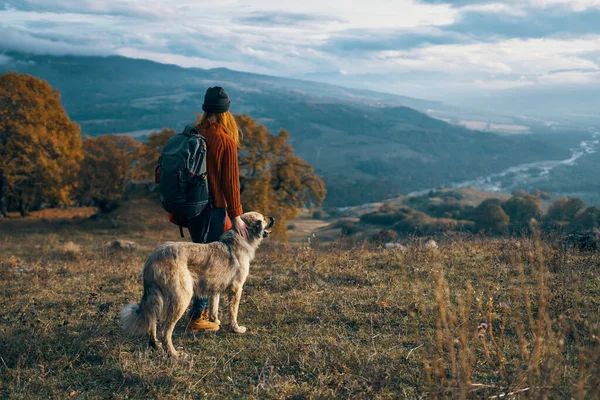 Mujer Alegre Turista Junto Perro Paseando —  Fotos de Stock