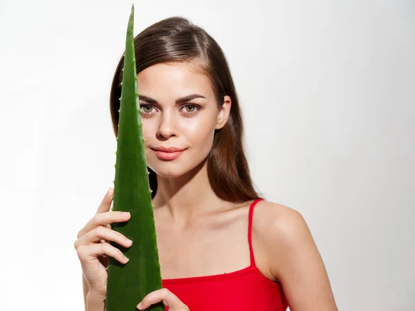 Bella Bruna Che Tiene Foglia Aloe Verde Foto Alta Qualità — Foto Stock