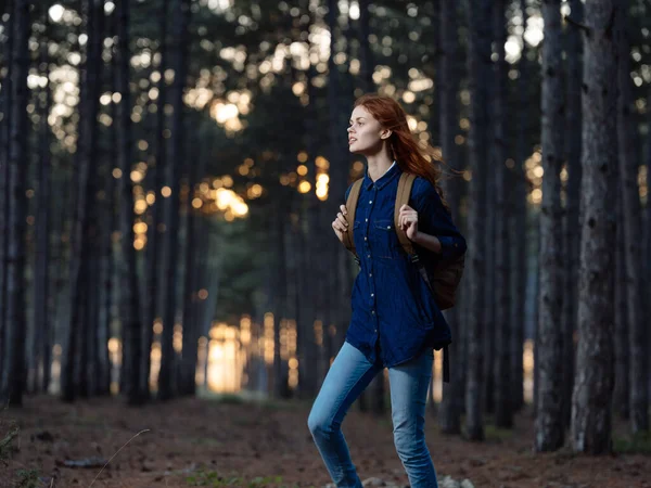 Žena Cestuje Mezi Stromy Lese Podzim Při Západu Slunce — Stock fotografie
