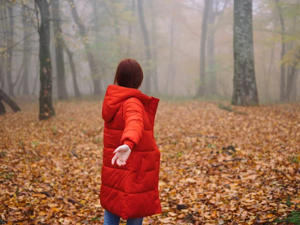 Go on a red jacket autumn walk the fog yellow leaves journey — Stock Photo, Image