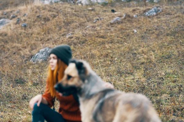 Doğa yürüyüşçüsü, doğa manzarası dağlarında köpeğe sarılır. — Stok fotoğraf