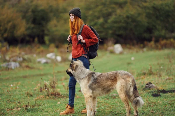 游客背着背包在大自然的田野里遛狗 — 图库照片