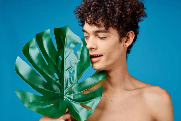 Hombre con pelo rizado hombros desnudos hojas verdes ecología —  Fotos de Stock
