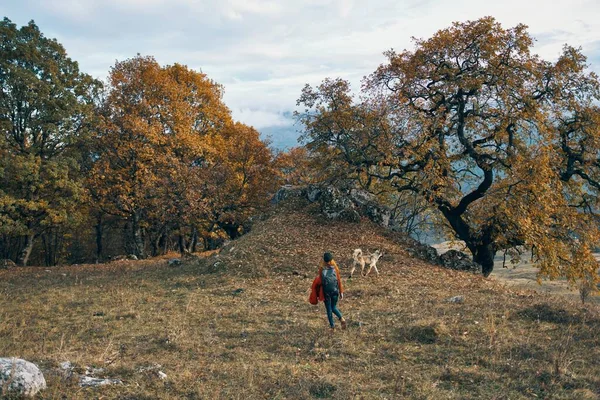 Sommerhaus Spaziergänge in der Natur Herbst Blätter Reisen Berge — Stockfoto