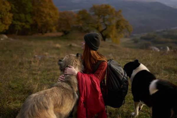 Mujer con mochila en la naturaleza junto a perro paseo amistad —  Fotos de Stock