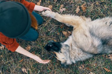 Ben bir kadın turist olabilir miyim? Bir köpek arkadaşlığı ile oynamak
