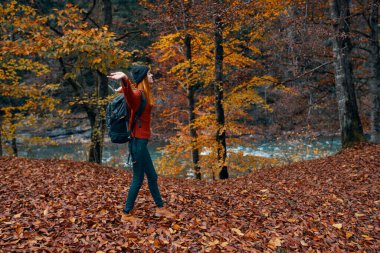 Sonbaharda parka düşen yapraklar ve arka plandaki nehir sırt çantalı bir turist.