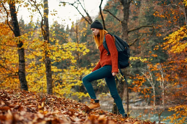 Mulher caminhante andando no parque no outono natureza árvores altas paisagem folhas modelo — Fotografia de Stock