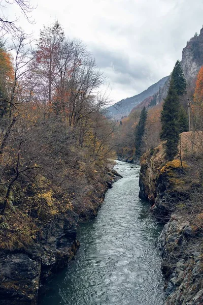 Rivière entre les montagnes automne forêt Voyage air frais — Photo