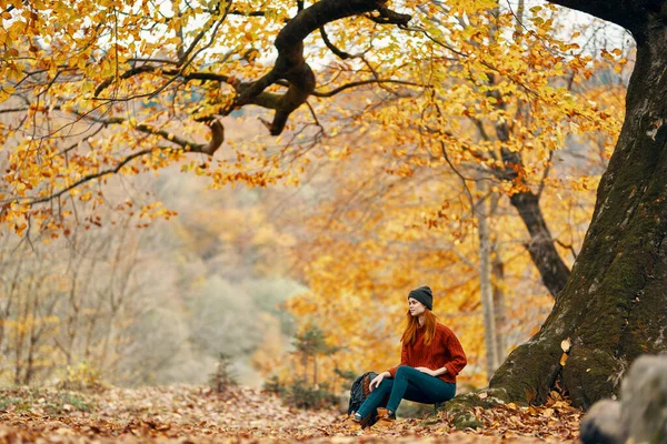 Reizen toerisme vrouw model in herfst bos vallende bladeren landschap natuurpark — Stockfoto