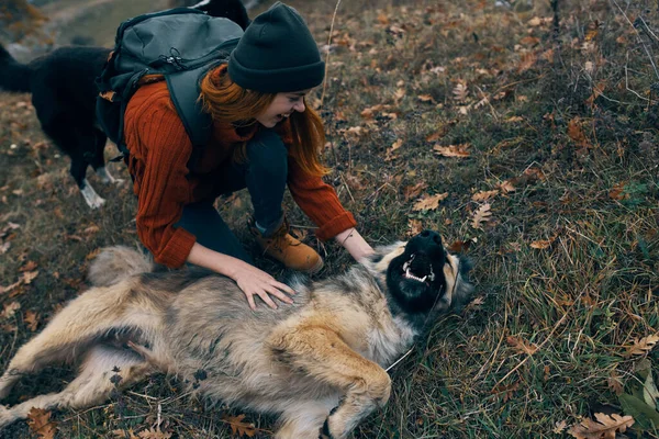 Tourist Mit Rucksack Der Natur Neben Dem Hund Beim Spielen — Stockfoto