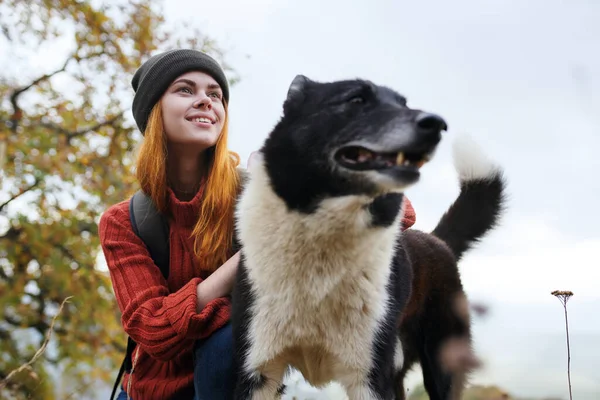 自然の中で犬と遊ぶ女性観光客 高品質の写真 — ストック写真