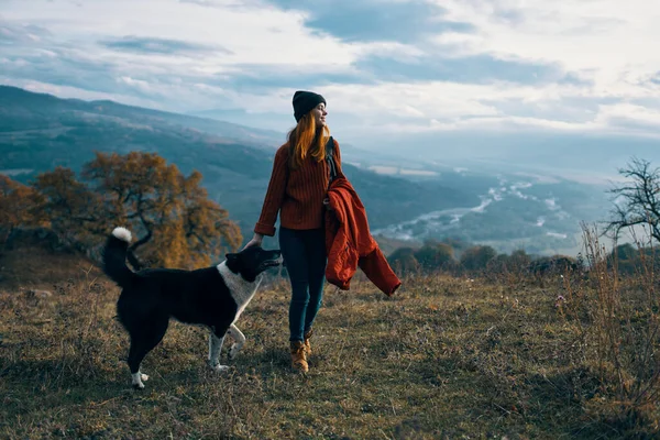 Ženy chůze vedle psa v přírodě krajina hory cestování — Stock fotografie