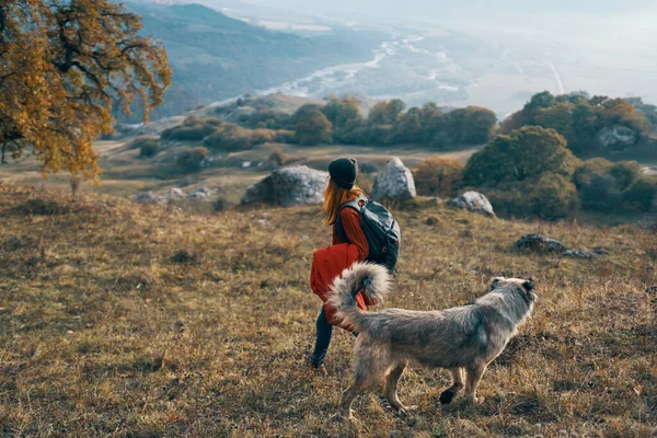 Mujer excursionista en ropa de otoño junto a un perro pasea por las montañas de la naturaleza —  Fotos de Stock