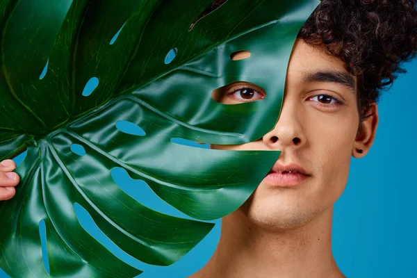 Hombre guapo hoja verde cara primer plano fondo azul —  Fotos de Stock
