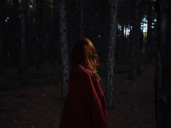 Una Mujer Viaja Por Bosque Por Noche Con Vista Hacia —  Fotos de Stock