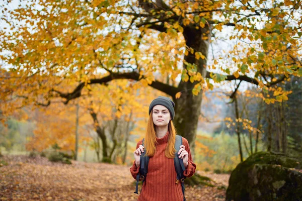 Reisende Mit Rucksack Ruhen Sich Herbstlichen Wald Der Natur Der — Stockfoto