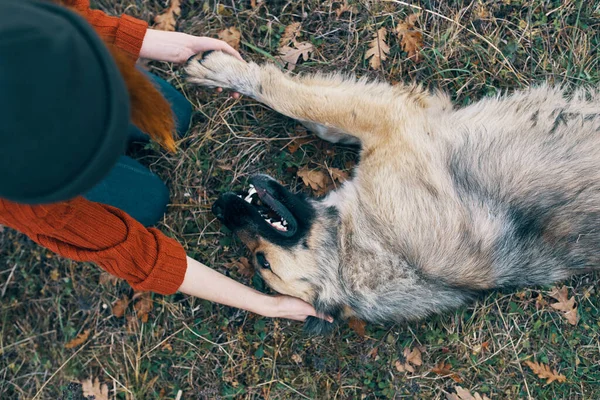 Touristin Spielt Der Natur Mit Hund — Stockfoto