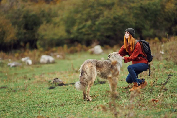 Mujer Excursionista Paseando Perro Las Montañas Foto Alta Calidad —  Fotos de Stock