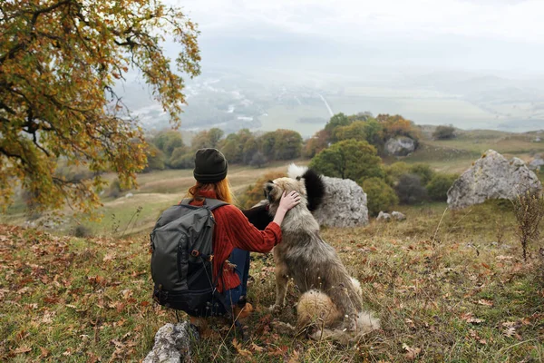 Mujer Excursionistas Con Perro Naturaleza Foto Alta Calidad —  Fotos de Stock