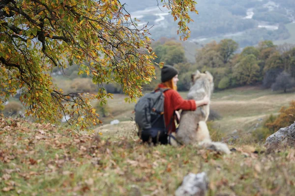 Mujer Excursionista Junto Perro Las Montañas Admira Naturaleza Foto Alta —  Fotos de Stock