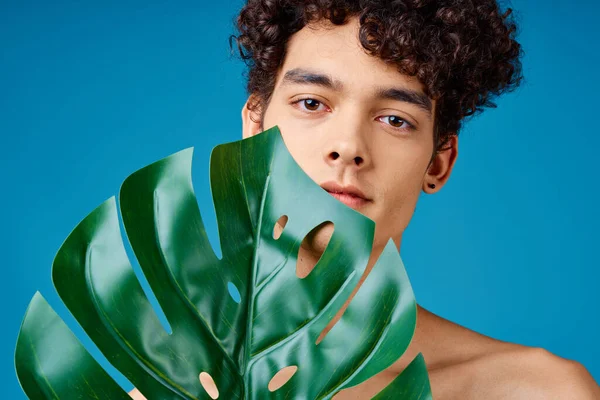 Hombre Con Pelo Rizado Con Hoja Foto Alta Calidad —  Fotos de Stock