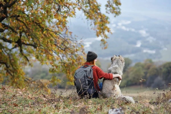 Mujer Excursionista Junto Perro Amistad Las Montañas —  Fotos de Stock