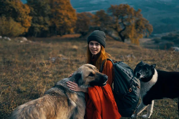 一个带着狗在山上散步的女人 高质量的照片 — 图库照片