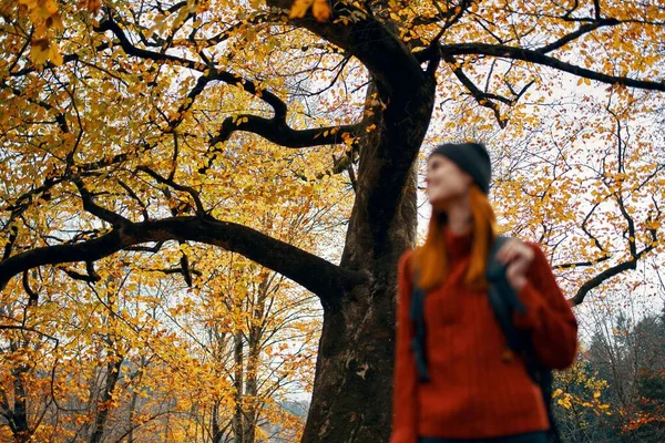 Vrouw in het park met een rugzak op haar rug rust ontspannen frisse lucht hoog bomen landschap — Stockfoto