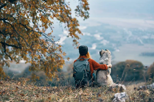 Mujer con perro sentarse en el suelo en la naturaleza montañas —  Fotos de Stock
