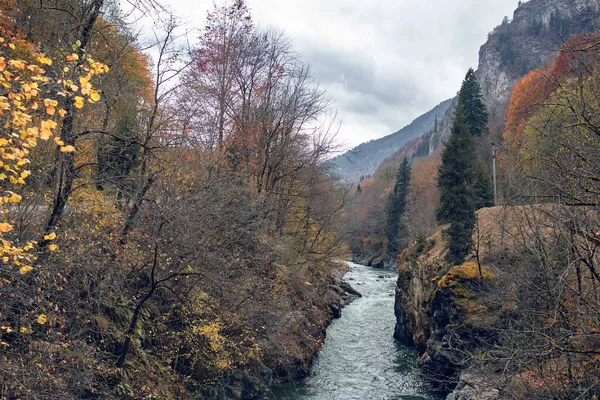 Βουνά φθινόπωρο δάσος ποτάμι τοπίο φύση ταξίδια — Φωτογραφία Αρχείου