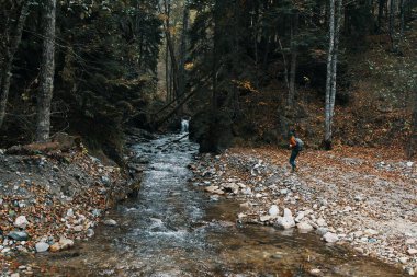Dağ nehri yüksek ağaçlar orman manzarası Sonbahar kadını turizm gezisi