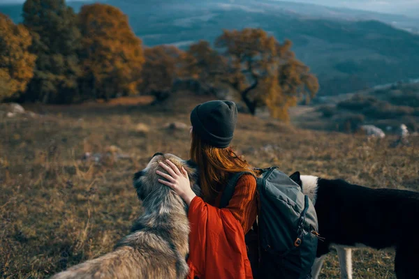 Mujer con mochila en la naturaleza junto a perro paseo amistad —  Fotos de Stock