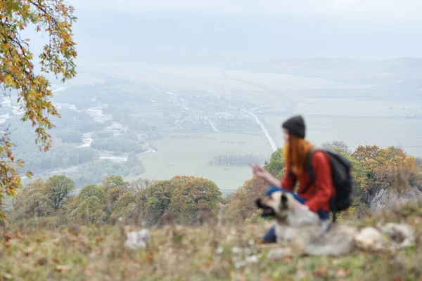 Mujer excursionista admira la naturaleza en las montañas junto a la amistad perro —  Fotos de Stock