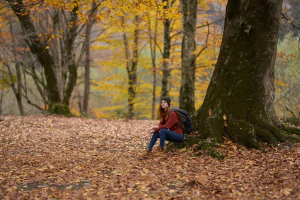 Vrouw met rugzak lopen in de herfst bos in natuur landschap bomen voorbijgangers model — Stockfoto