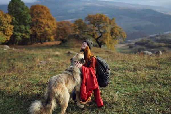 Alegre mujer jugando con perro al aire libre montañas viaje vacaciones —  Fotos de Stock