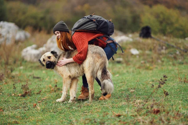 Sırt çantalı bir turist, köpeği tarlada gezdirir doğa dağları gezer. — Stok fotoğraf