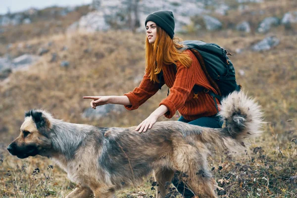 Vrouw wandelaar naast hond in bergen reizen vakantie landschap — Stockfoto